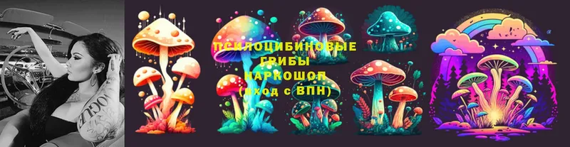 OMG маркетплейс  дарк нет Telegram  Псилоцибиновые грибы Cubensis  Беломорск 